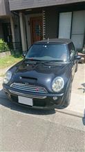 MINI 洗車Day！