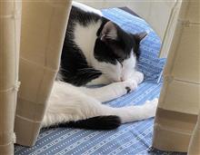 無闇に怖がっていた自分がいま思うこと