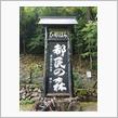 11ヵ月ぶりに都民の森に挑戦してみた・・っていうかヒルクライム今年始めて！
