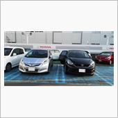 今日は新型フィット