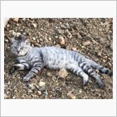 こんにちは🌞