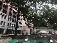 🌲週末ドライブ😃🚗 奥多摩と欅並木に感謝と、宮ヶ瀬でなく津久井湖☀️🚗 🌲週末ドライブ😃🚗 奥多摩と欅並木に感謝と、宮ヶ瀬でなく津久井湖☀️🚗