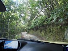 徳島県道287号福井椿泊加茂前線を行く