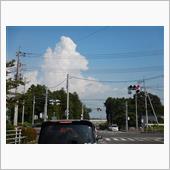 回避行動