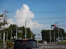 回避行動 回避行動