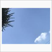 8月も終わり