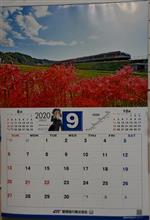 2020年9月になりました💖