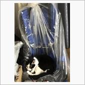 このシートは俺のだ