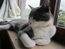 ひさびさびさ出たじょ