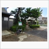 自転車公道練習開始、そして・ ...