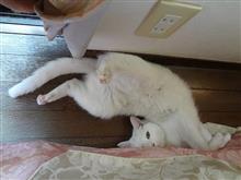 寝顔