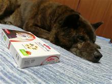 とある甲斐犬の闘病記〜ご紹介頂いた、とあるサプリ編〜