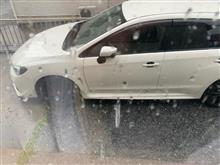 朝方..風と雨凄かった！