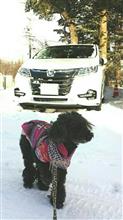 みんカラ：【MICHELIN X-ICE SNOW/X-ICE SNOW SUV　5名様】