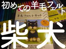 初めての羊毛フェルト 柴犬 どっちやねん。