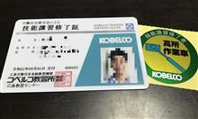 高いところが好きという訳ではありません