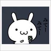私の新しい愛車が増えました