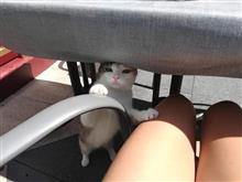 種を付け.根る