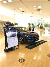 新型レヴォーグ🚙