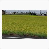 思えば、9月。