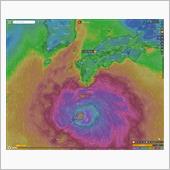 台風に備えて。