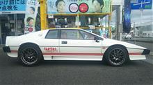 ジウジアーロデザインのタイプナンバー82“ロータス･エスプリターボ”、フロント17インチ、リア18インチのBBS RG-RにPOTENZA RE-71RSを装着!!