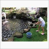 8歳の終わりに