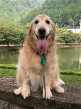 祝・みんカラ歴6年！