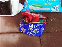 バラの剪定と追肥