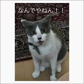 めっちゃ細かいこと