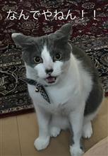 めっちゃ細かいこと