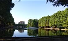 今朝の別所沼公園♪