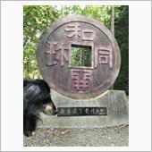 細い山道に行って来ました