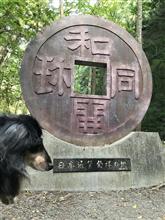 細い山道に行って来ました