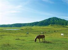 アリちゃんでおそらく最後の長距離旅行のおもひで😀part②
