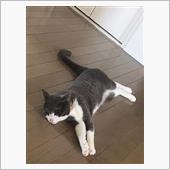 慣れていくのね