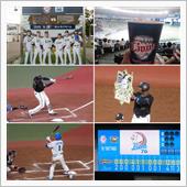 野球観戦（埼玉西武vsオリッ ...