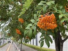 書類の無い原付バイク・・・それでもナンバーは取れるのか？