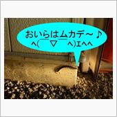 極悪なアサシンだろ・・・　( ...