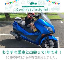 愛車と出会って1年！