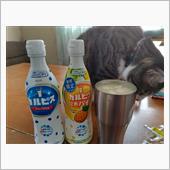 久々に飲んだら、オジサンでも ...