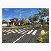 横断歩道で停車中に原付に衝突 ...