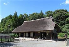 泉の森公園　お散歩