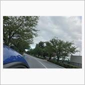 日曜日の朝は．．．ケイマンを ...