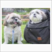 こたさんと公園(*^-^*)