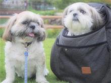 こたさんと公園(*^-^*)