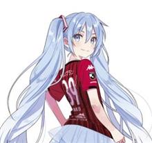 コンサドーレのこと(個人的な分析)。 コンサドーレのこと(個人的な分析)。