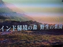 交通トラブルの参考に笑