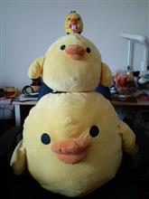 ☆□おはよん□☆