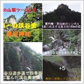 まるで 避暑地の涼しさ と  ...